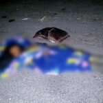 Abandonan el cuerpo encobijado de un masculino, vestido con ropa tácticas, debajo de un puente de la carretera Apatzingán – Cuatro Caminos en Michoacán